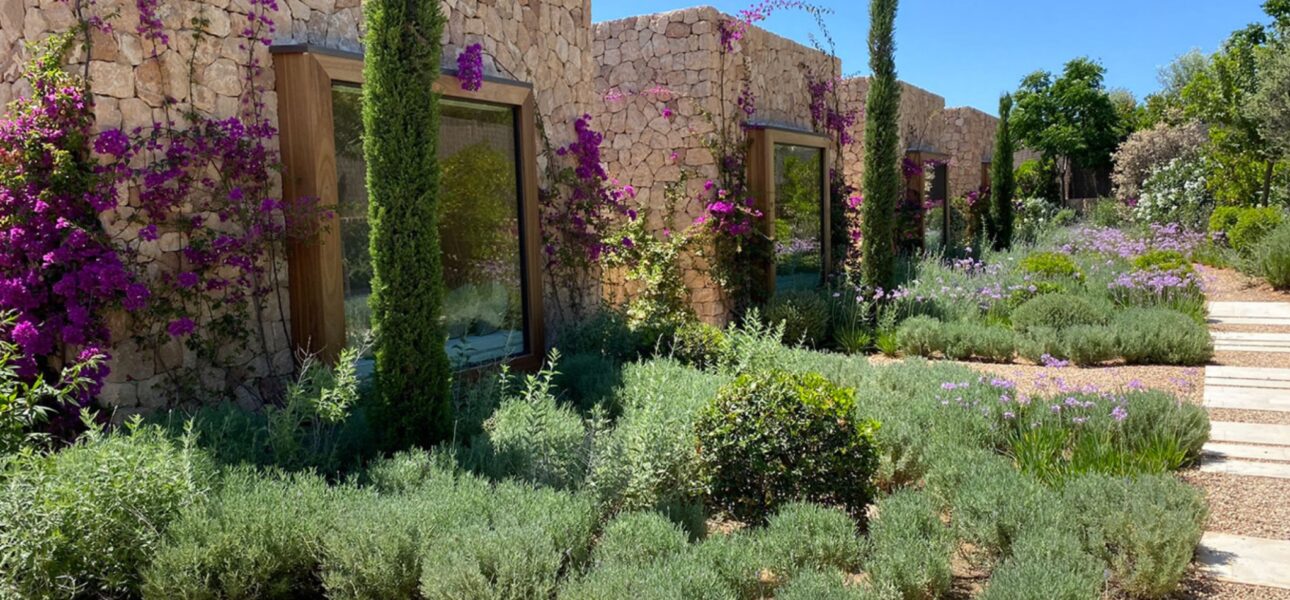 Jardín mediterráneo de C4 Sabina Ibiza en Cala Tarida
